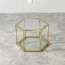 HEXA FRAME GLASS COFFEE TABLE_5.webp