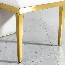 GILDED SPINE DINING CHAIR_4.webp