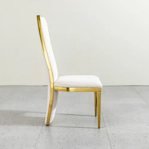 GILDED SPINE DINING CHAIR_7.webp