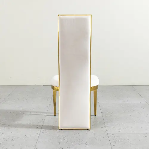 GILDED SPINE DINING CHAIR_8.webp