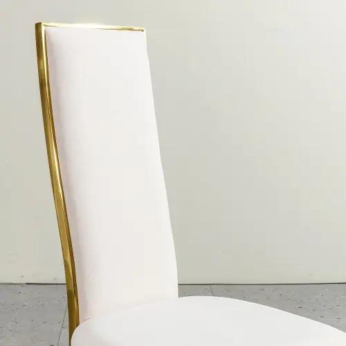 GILDED SPINE DINING CHAIR_2.webp