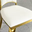 GRAND MEDALLION DINING CHAIR_6.webp
