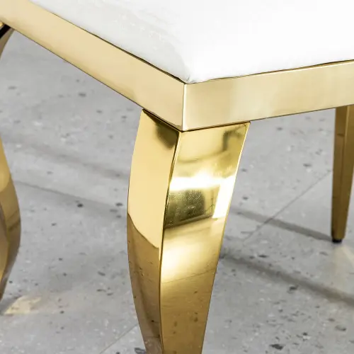 GRAND MEDALLION DINING CHAIR_8.webp