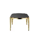 GILDED BLACK-GLASS DINING TABLE_12.webp