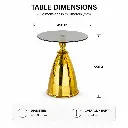 AMBER PRISM GLASS COFFEE TABLE.webp