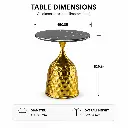 GILDED CONE BLACK GLASS COFFEE TABLE.webp