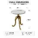 GILDED TRIPOD COFFEE TABLE.webp