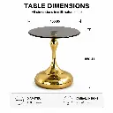 GOLDEN DROP GLASS COFFEE TABLE.webp