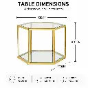 HEXA FRAME GLASS COFFEE TABLE.webp