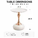 IVORY PEDESTAL ACCENT COFFEE TABLE.webp