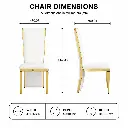 GILDED SPINE DINING CHAIR.webp