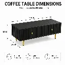 CONTEMPORARY BLACK STRIPED STORAGE COFFEE TABLE.webp