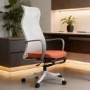 ERGONOMIC MINIMAL MESH CHAIR