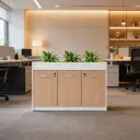 LOW HEIGHT STORAGE CABINET