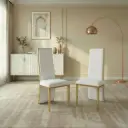 GILDED SPINE DINING CHAIR